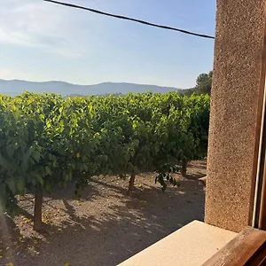 El Violi Guest house